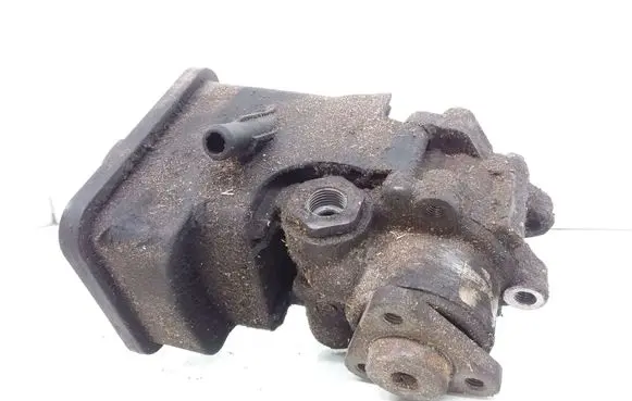 BMW 3 E46 Power steering pump 1095155