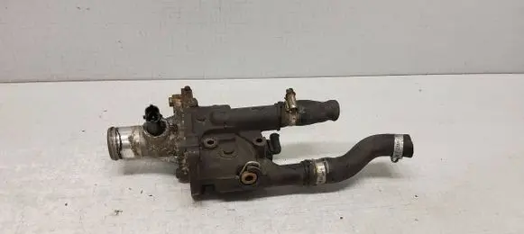 Thermostat/thermostat housing