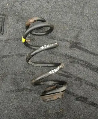 Nissan X-Trail T31 Rear coil spring