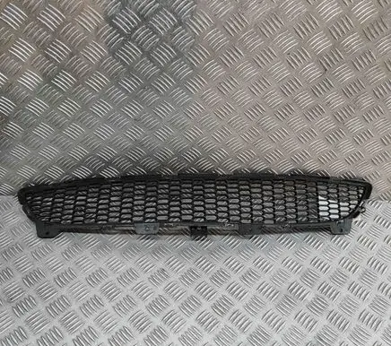 BMW Z4 E89 Front grill 7903744