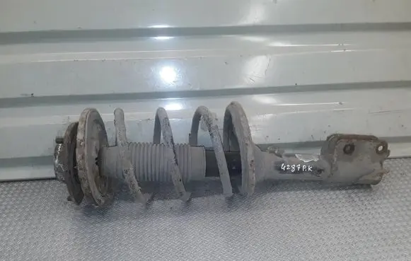 Hyundai Santa Fe Front shock absorber with coil spring 