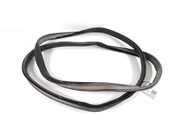 Trunk rubber seal (body)