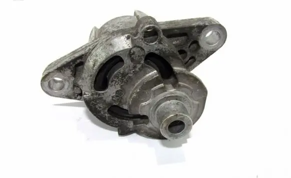 Dacia Logan I Alternator belt tensioner Nra