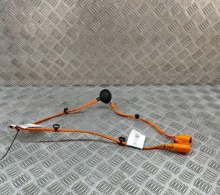 Cupra Born Other wiring loom 1EA971475F