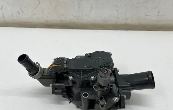 Thermostat/thermostat housing