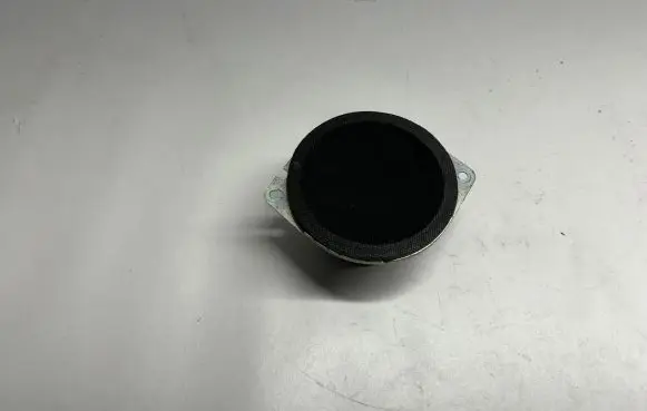 Dodge Challenger Front door speaker 05064359AB