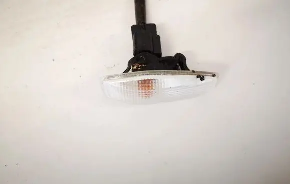 Hyundai Getz Front fender indicator light