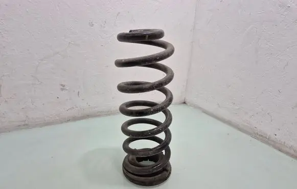 Rear coil spring