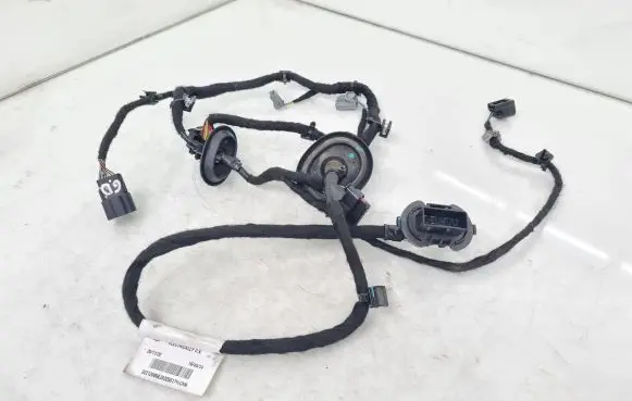 Rear door wiring loom