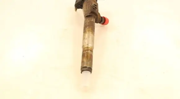 Renault Megane II Fuel injector 8200380253