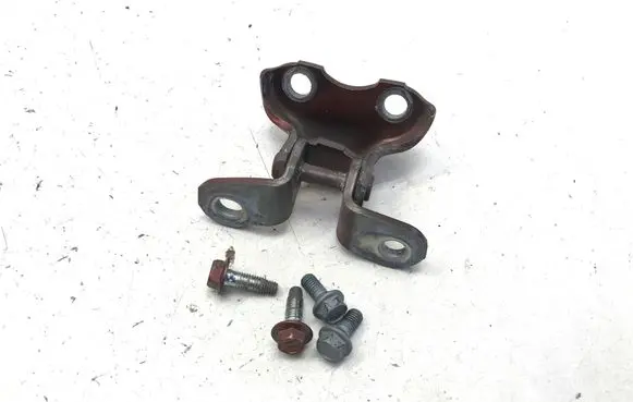 Lexus RZ Front door lower hinge