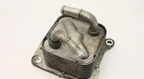Nissan Juke I F15 Engine oil radiator 