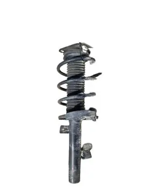 Ford Focus Rear shock absorber/damper