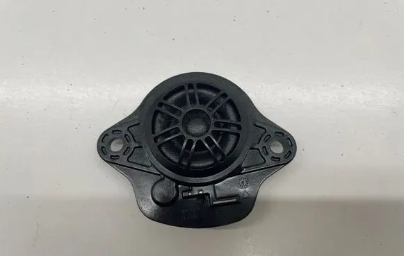 Tesla Model 3 Panel speaker 109873700B