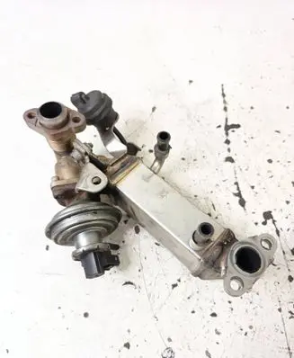 EGR valve cooler