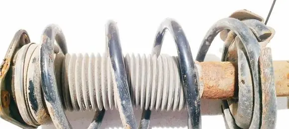 Ford Focus C-MAX Front coil spring