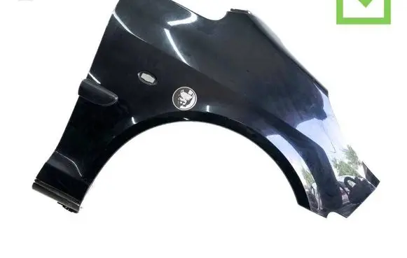 Peugeot 1007 Fender 02D