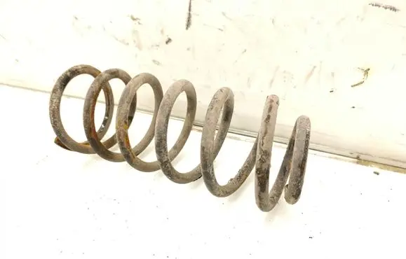 Rear coil spring