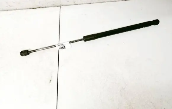 Renault Megane III Tailgate/trunk strut/damper 844300009r 023168