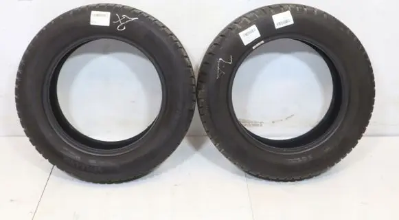 Fiat Punto Evo R15 winter tire 4019238695403