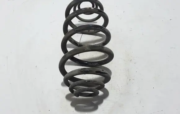 Renault Kangoo II Rear coil spring 550207723R