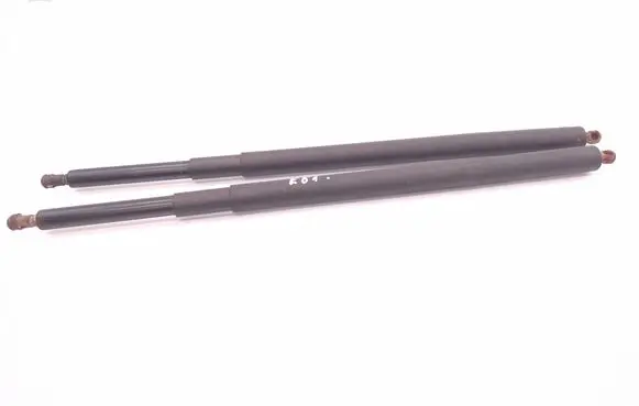 Tailgate/trunk strut/damper
