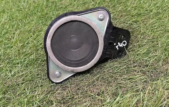 Panel speaker