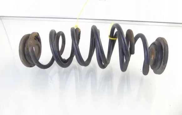 Rear coil spring
