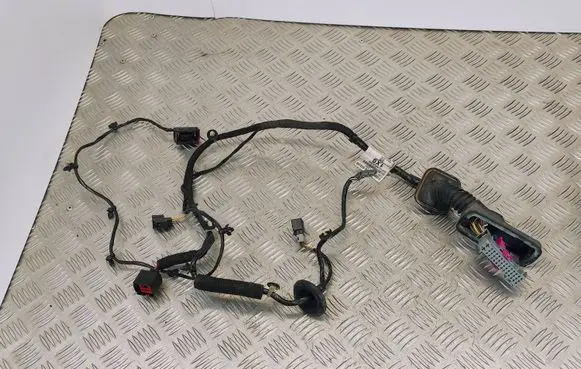 Opel Zafira C Front door wiring loom 20927709 0620121008131258