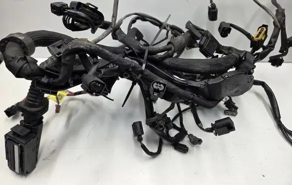 Mercedes-Benz CLK A209 C209 Engine installation wiring loom A6421506533
