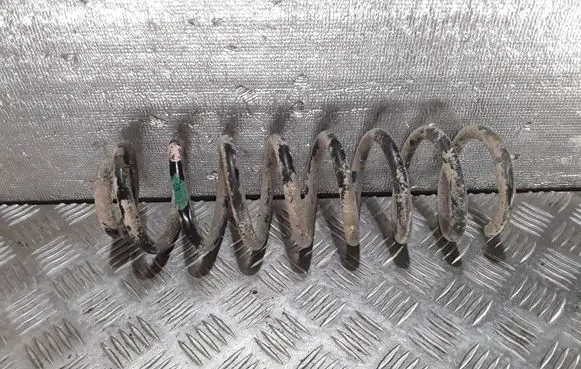 Renault Scenic II - Grand scenic II Rear coil spring