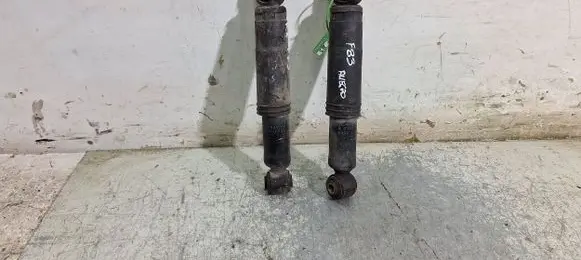 Ford Ka Rear shock absorber/damper