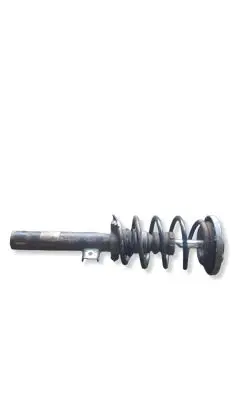 BMW X3 F25 Front shock absorber with coil spring 6796316 31316796316 101707