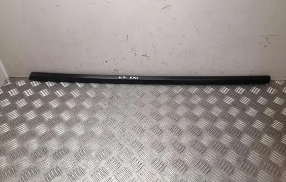 Tesla Model Y Front door trim (molding) 202280399A