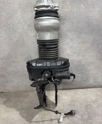 Porsche Taycan 9J1 Air suspension front shock absorber 9J1616038AG 12062024 9J1971289E