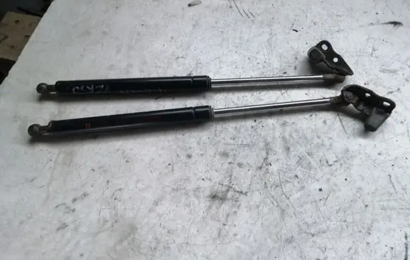 Toyota Avensis Verso Tailgate/trunk strut/damper 6895044080