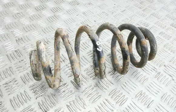 Rear coil spring