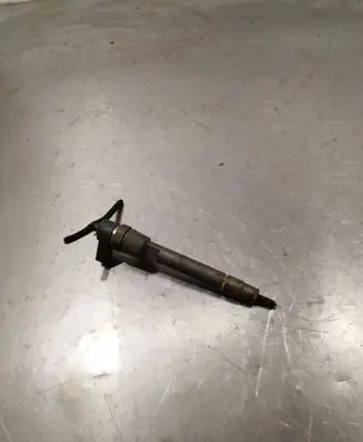 Mercedes-Benz Vito Viano W639 Fuel injector 0445110192