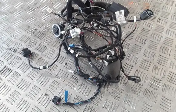 BMW 5 G30 G31 Front door wiring loom 4152062 11107810 B085853