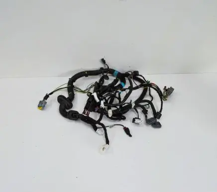 Front door wiring loom