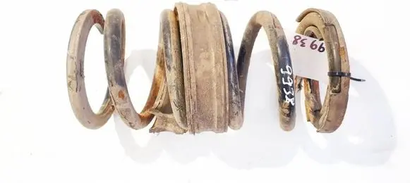 Rear coil spring