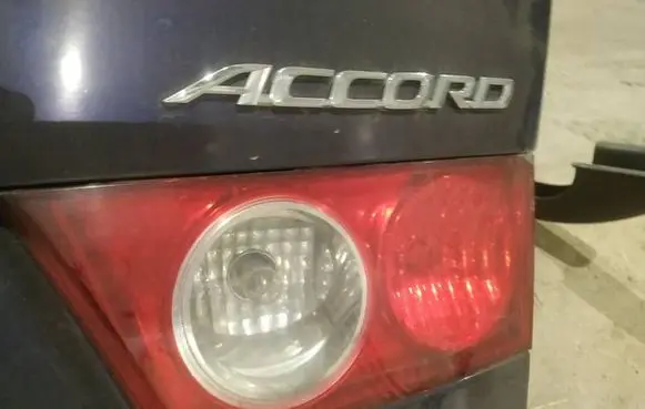 Tailgate rear/tail lights
