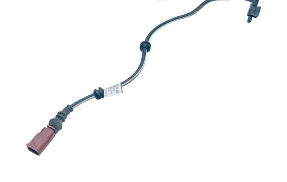 Audi E-tron GT Other wiring loom 9j1971289c