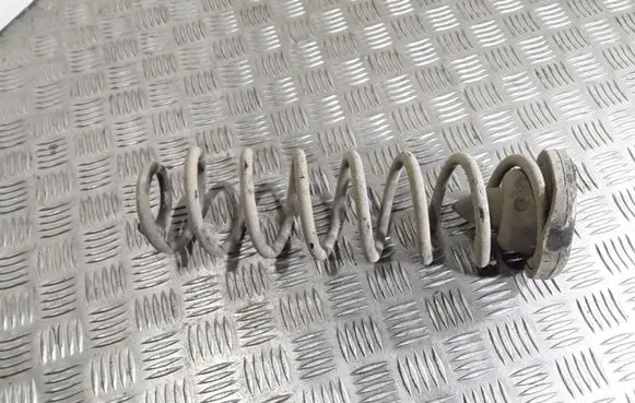Renault Megane II Rear coil spring