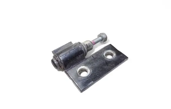 BMW 5 E39 Rear door lower hinge