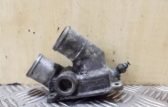 Thermostat/thermostat housing