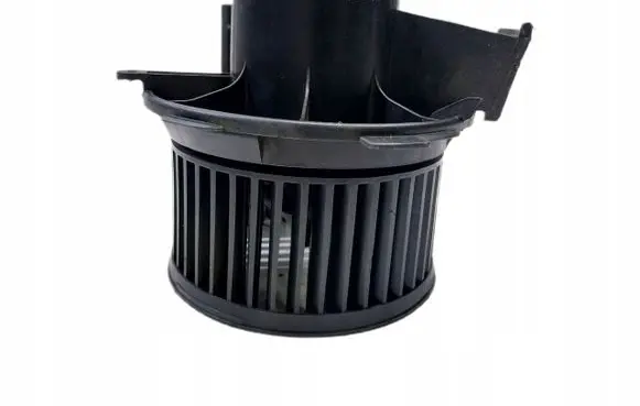 Peugeot 206+ Front door blower motor 6424501