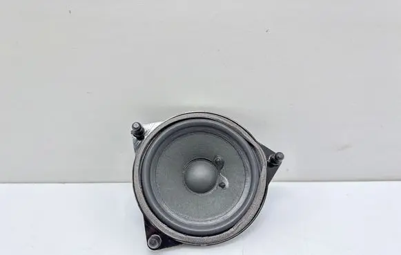 Front door speaker