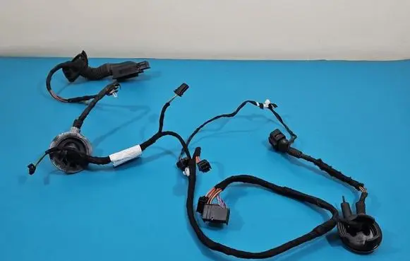 Rear door wiring loom