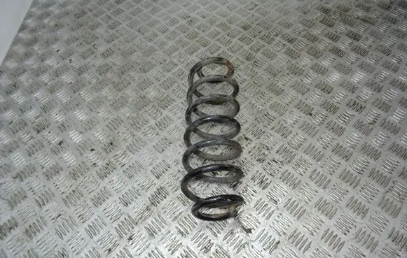 Volkswagen PASSAT B8 Rear coil spring